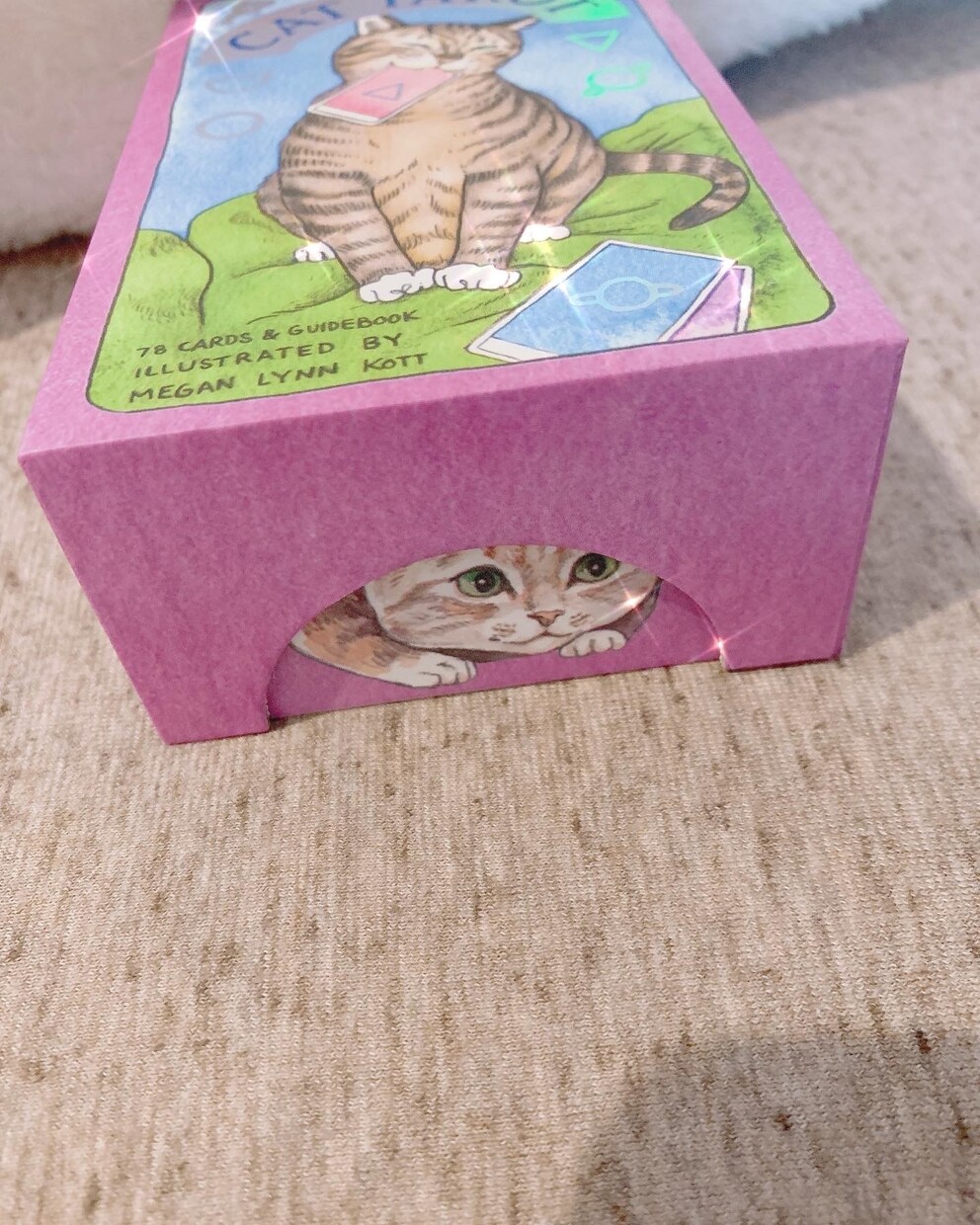 少し辛口ねこちゃんタロットで深掘りしていきます 深くみていきます。こちらの猫ちゃん若干辛口めでハッキリ出ます イメージ2
