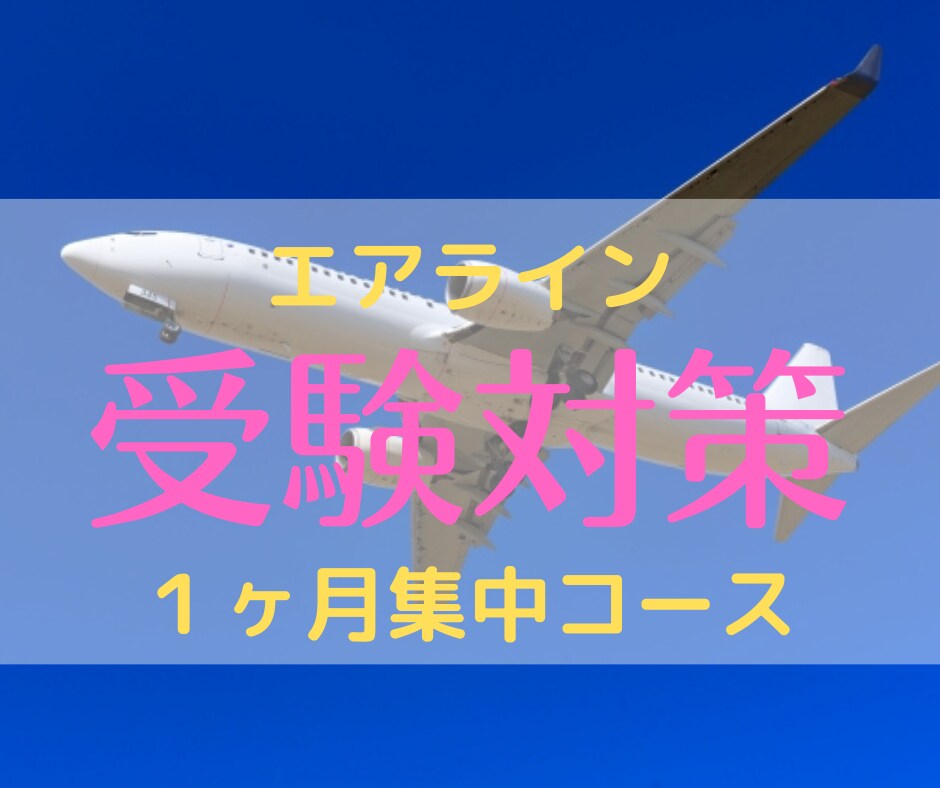 事前要相談☆1ヶ月間エアライン受験対策します こちらは事前にご相談いただいた方のみ購入可能です。 イメージ1
