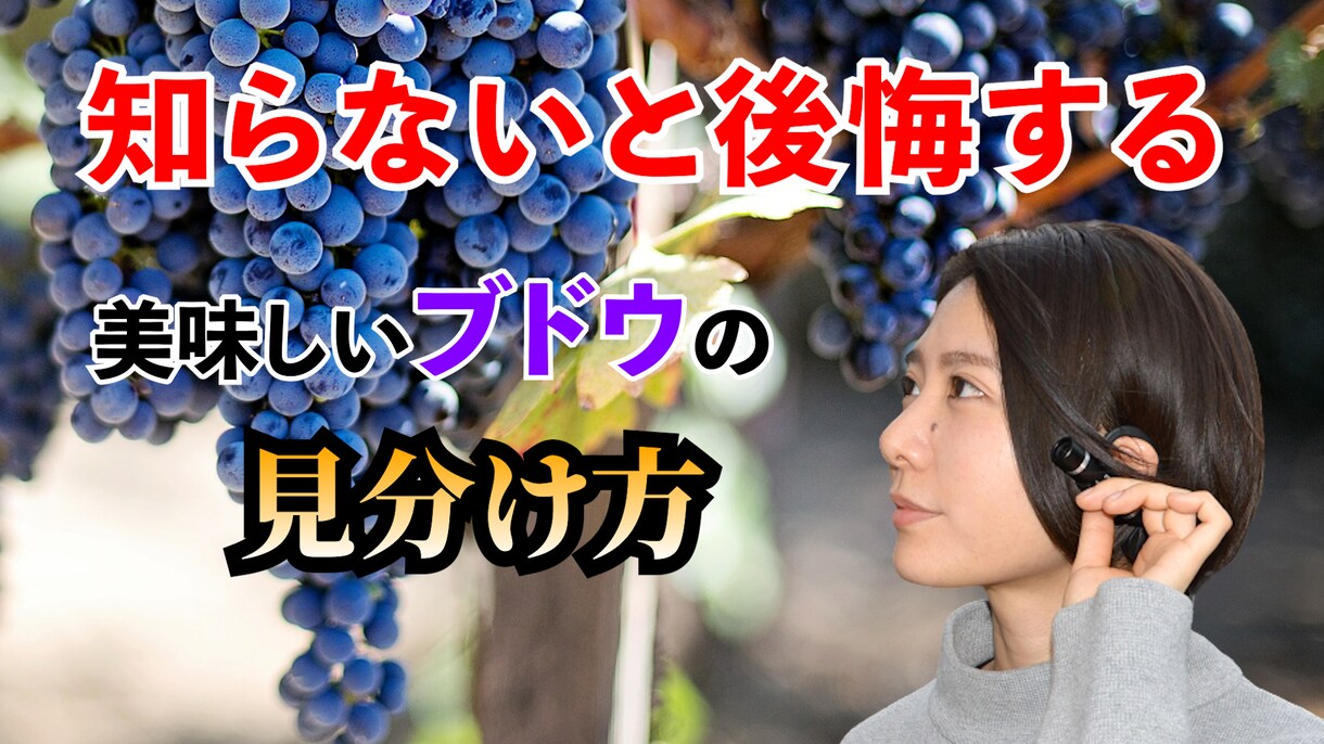 YouTube用の動画編集します 丸投げでOK！カット・テロップからBGMにサムネまで！ イメージ1