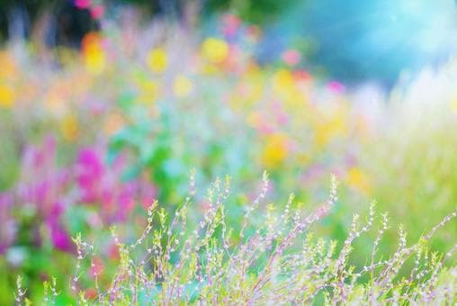 あなたのお話聞きます 気軽にお話しししてみませんか。 イメージ1