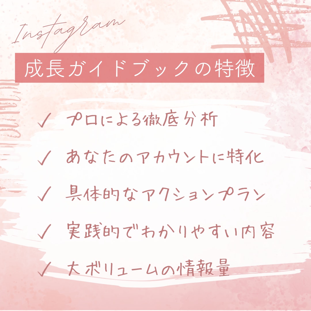 あなた専用【インスタ成長ガイドブック】作ります プロの分析で、あなたのアカウントを次のレベルへ イメージ2