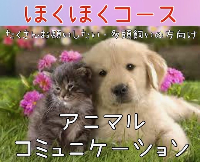 あなたの可愛いペットちゃんの気持ち、お聞きします 言葉が話せない可愛いペットの気持ち、気になりませんか？ イメージ1