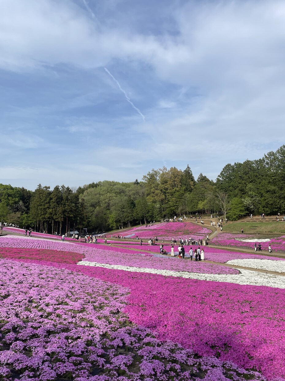 全国の観光スポットに関する記事を執筆します 旅行の国家資格保有ライターが魅力的に観光スポットを紹介！ イメージ1