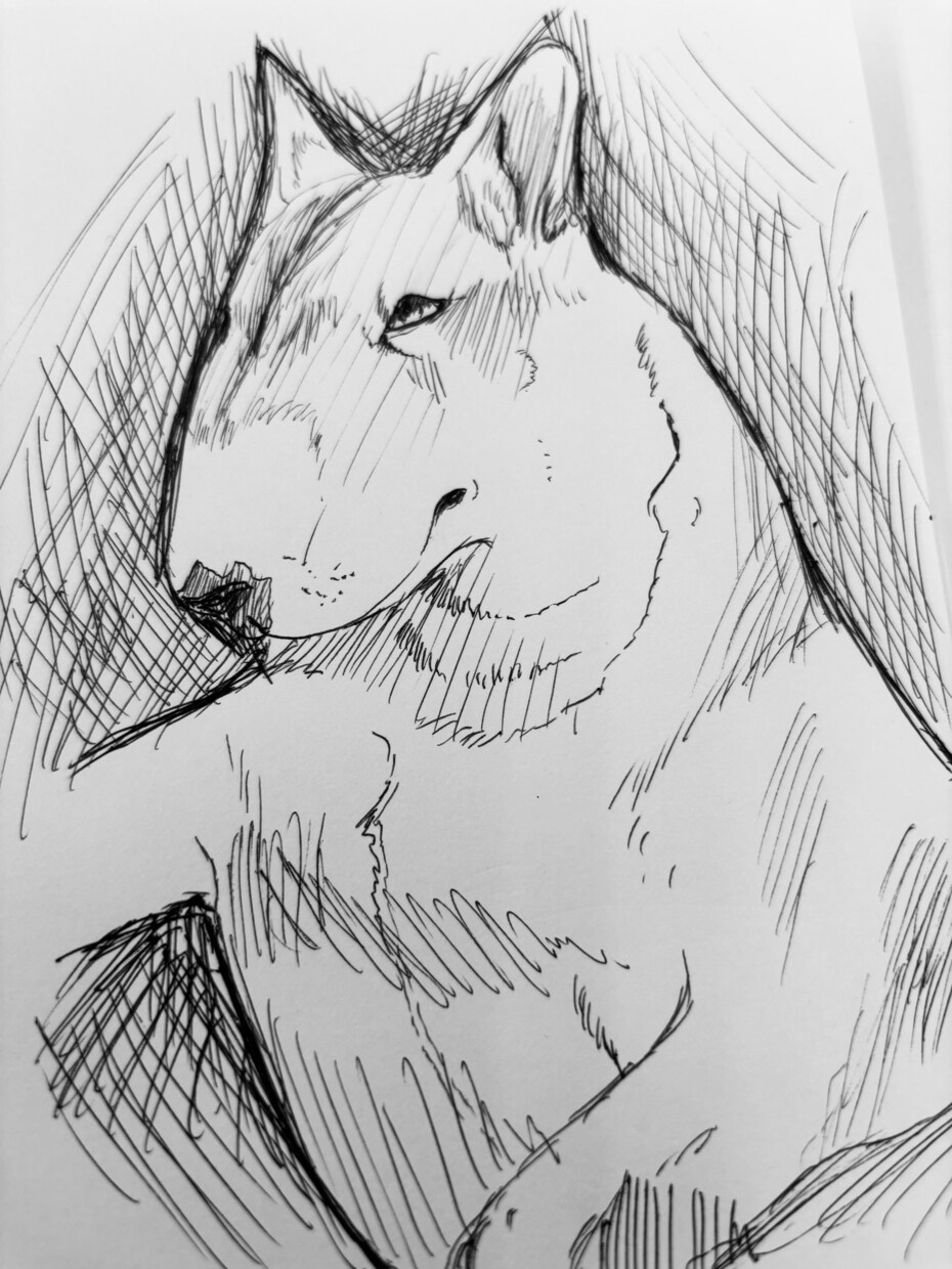 うちの子イラスト描きます 実績を積むためにお安くなっております イメージ3