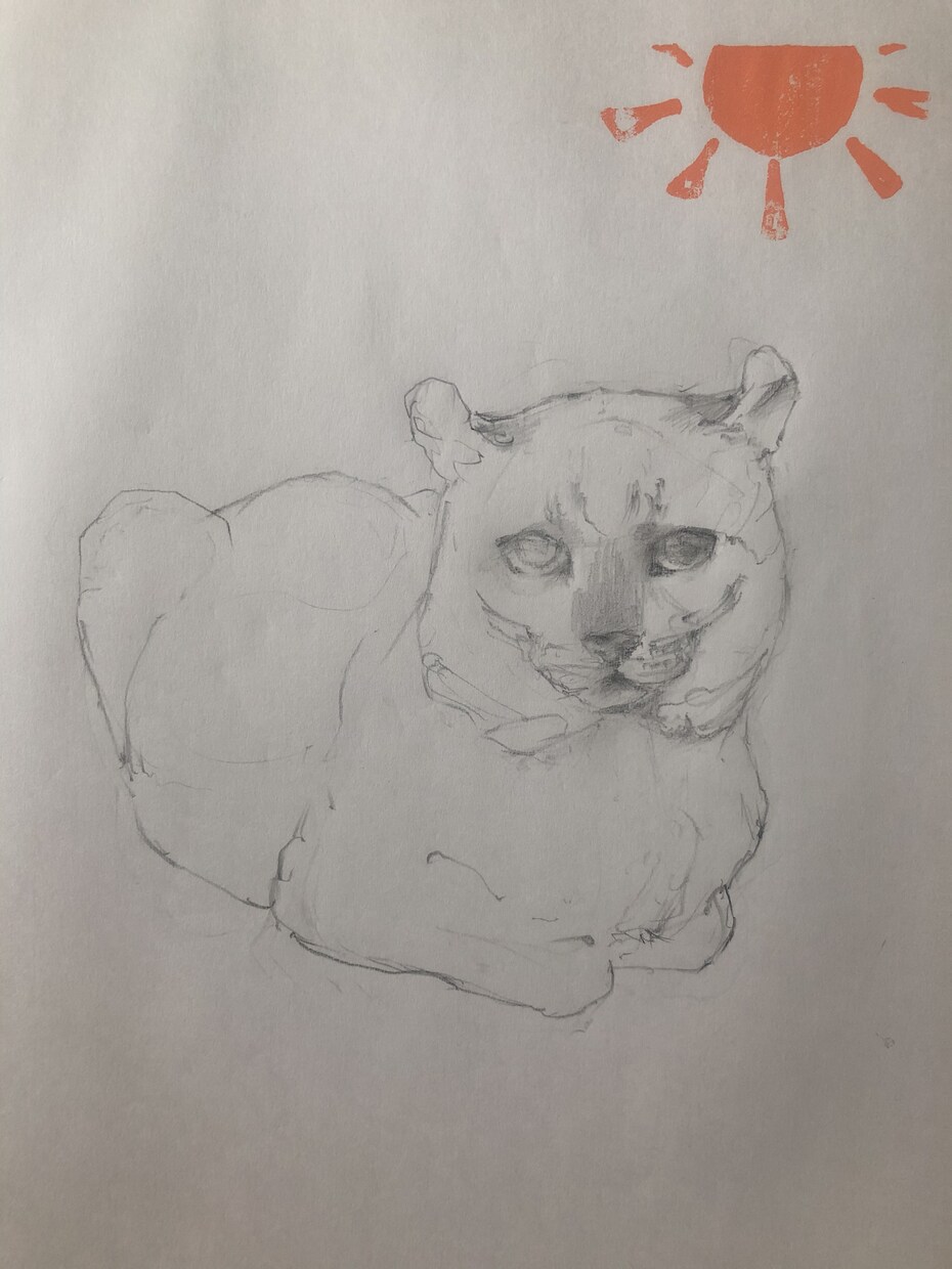 現役藝大がペットの似顔絵をお描きします 藝大生がお客様のペットをご希望のテイストでお描きします。 イメージ8