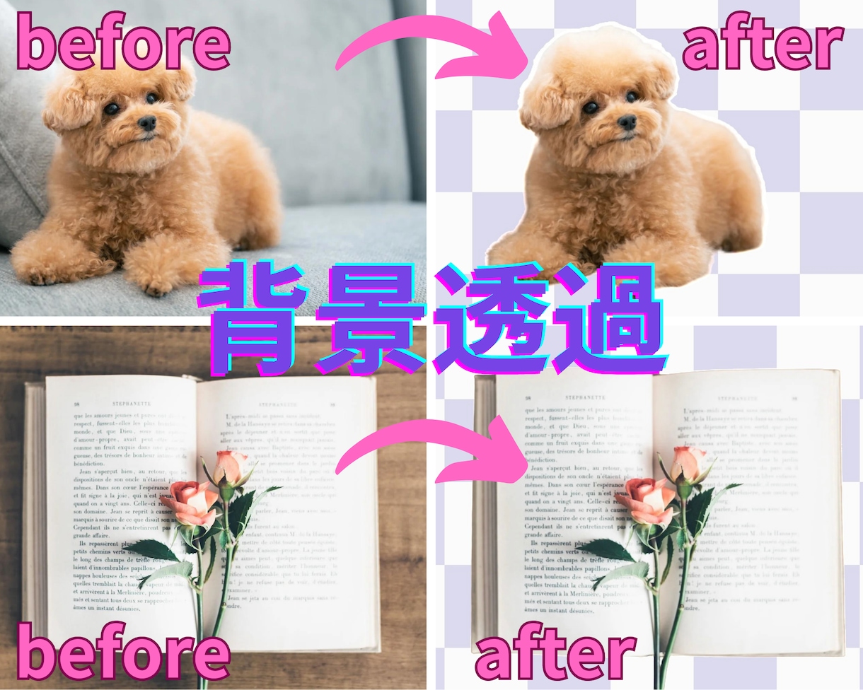 即納爆安！20枚1000円！画像・写真白抜きします 白抜き・背景透過・切り取り・切り抜き・背景透明・白背景 イメージ7