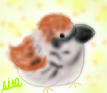あなたの大好きなペットや、動物のお話を希望します あなたと大好きなペットや動物の話で”癒し”の共有希望です♡ イメージ5