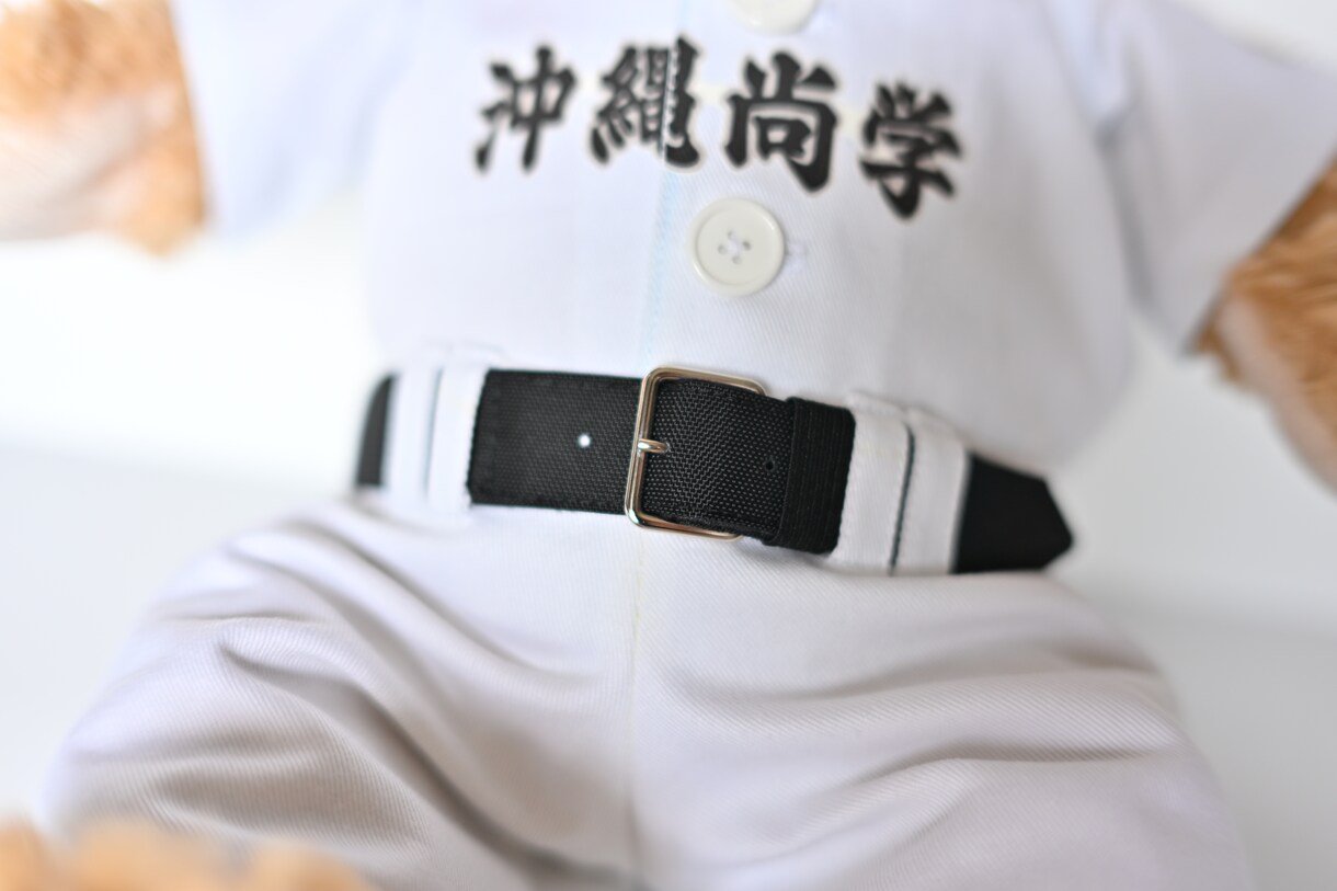 推しぬい用コスチューム・衣装をお届けします 着せ替えやお出かけにぴったり！高品質なハンドメイド衣装セット イメージ9