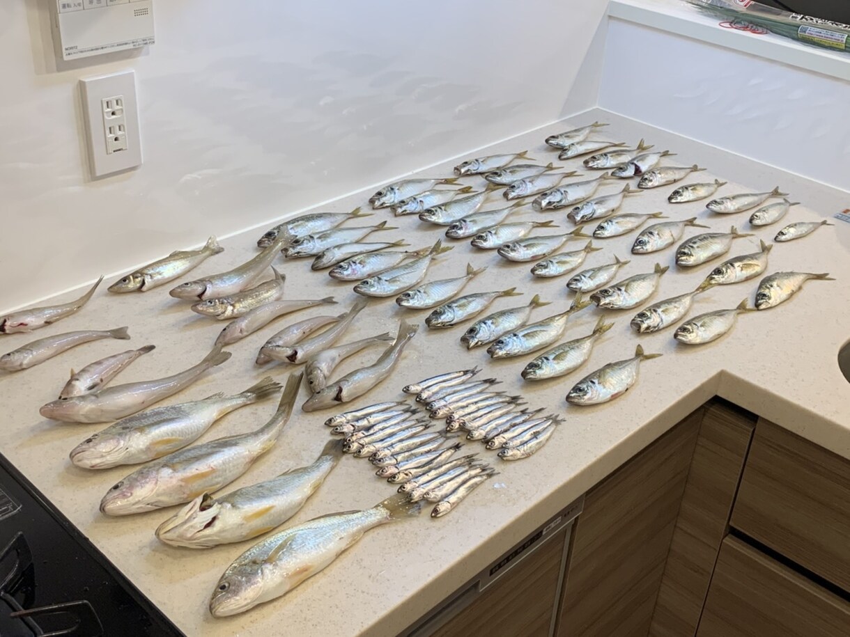 はじめての魚釣り！をお手伝いします 魚釣り、何からすれば良いの？をレクチャーします！ イメージ1