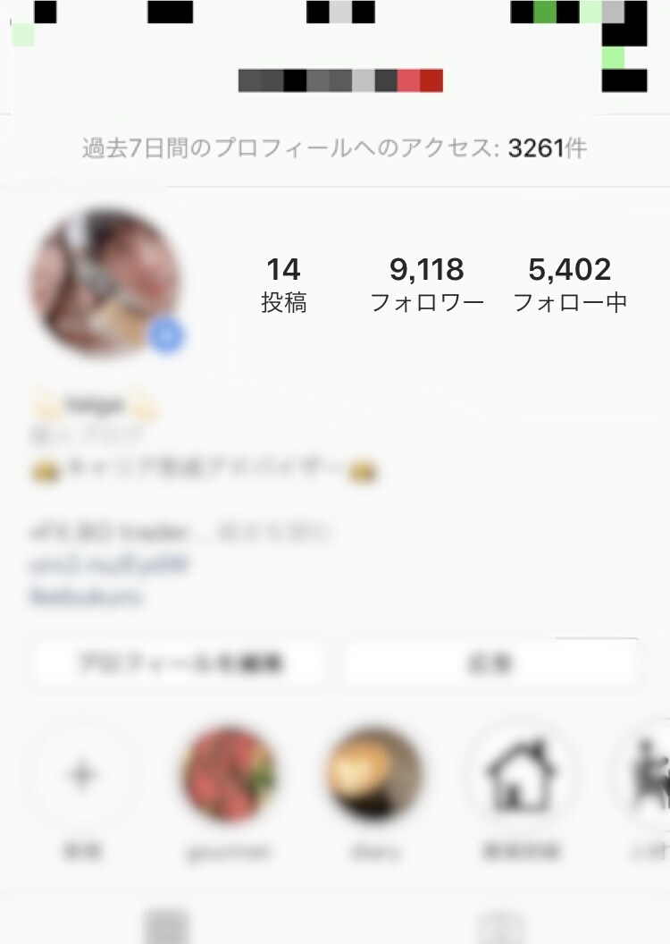Instagramのフォロワーを1万人にさせます フォロワー増加コンサルをさせていただきます イメージ2