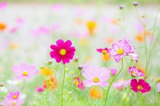どんな悩みでもお聞きします どんな小さな悩みでも相談下さい。 イメージ1