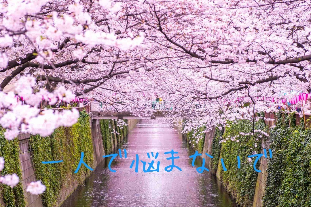 保育士です。育児の愚痴や相談など何でも聞きます 5〜6歳までの成長、発達相談や育児の愚痴などお気軽にどうぞ！ イメージ1