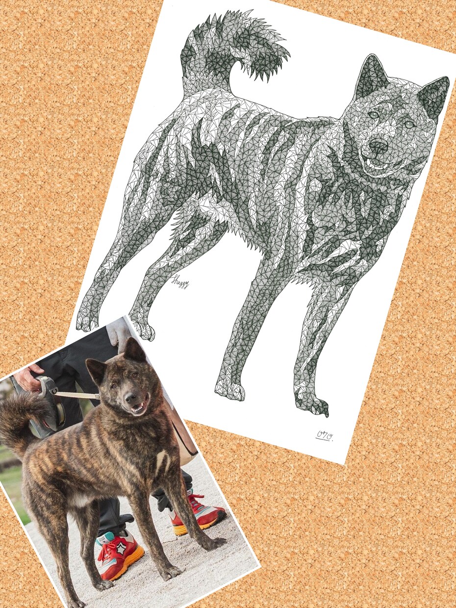 ペットの絵を三角形のみで表現して描きます ボールペンの線の密度で立体感を表現!! イメージ3