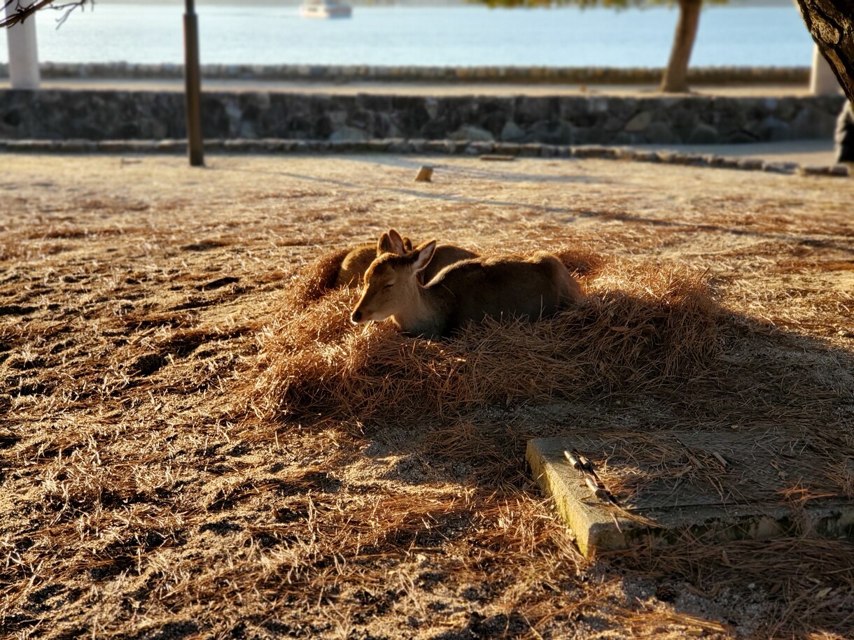 どんな話でもお聞きします 内容は必ず秘密厳守ですので安心して気軽にお話くださいね。 イメージ1