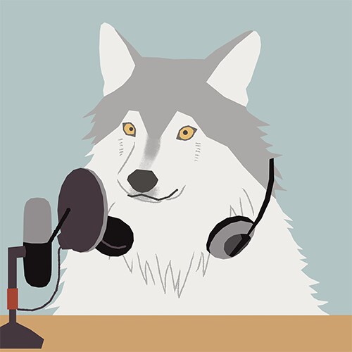 心がざわつく夜 ＊眠れない貴女のお話を聴きます 試聴可＊ラジオ配信者でカウンセラーのネムボの相づちで応えます イメージ1
