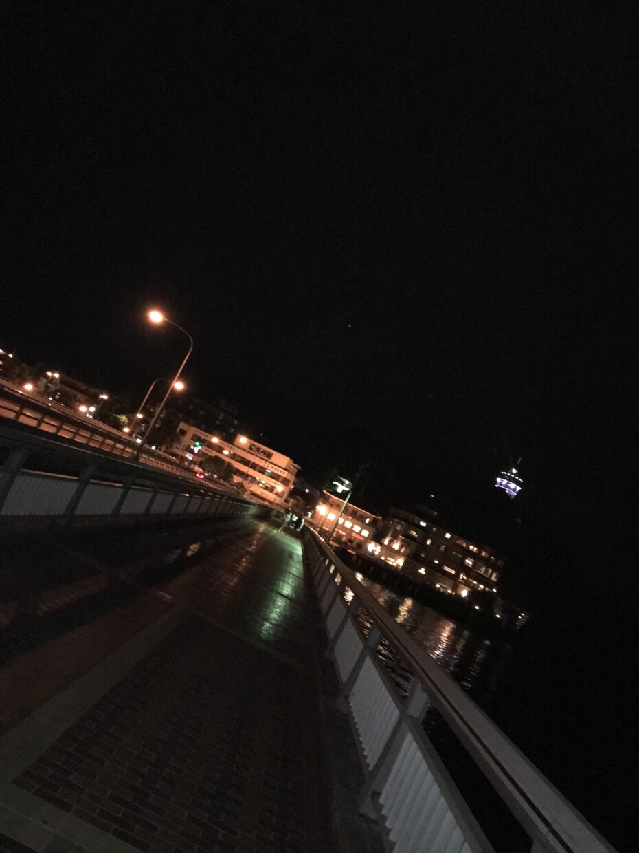 神奈川のお出かけプラン考えます 横浜のおすすめは？鎌倉とかもあり？プランを考えます！ イメージ5