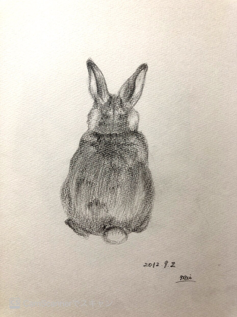ペット等動物のデッサン、イラストお描きします 大切な家族の思い出を絵に残しませんか？温かい絵お届けします。 イメージ4