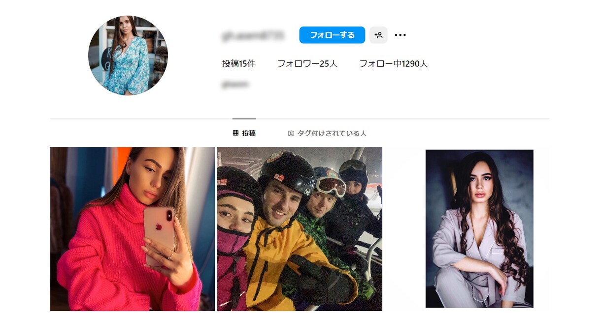 インスタグラムフォロワー1,000人以上増やします 【最高品質】男女比ほぼ半々 1,000人から制限無しで受付中 イメージ6