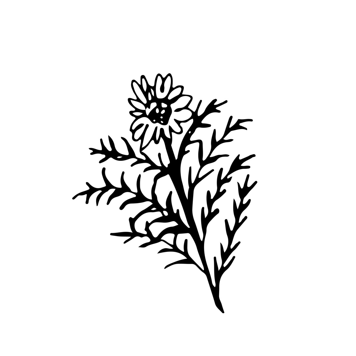 植物線画イラスト描きます 抜け感のあるリアルな植物の線画を描きます！ イメージ6