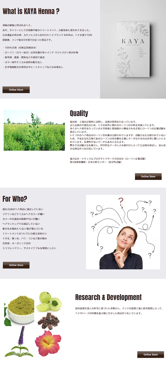 WIXでLP、ホームページ作成します WIX(ウィックス)でウェブサイトを作成し集客したい方 イメージ3
