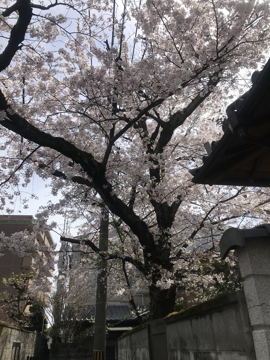 職場の悩みを聞きます 元人事が職場の悩みや転職相談の悩みを聞きます イメージ1