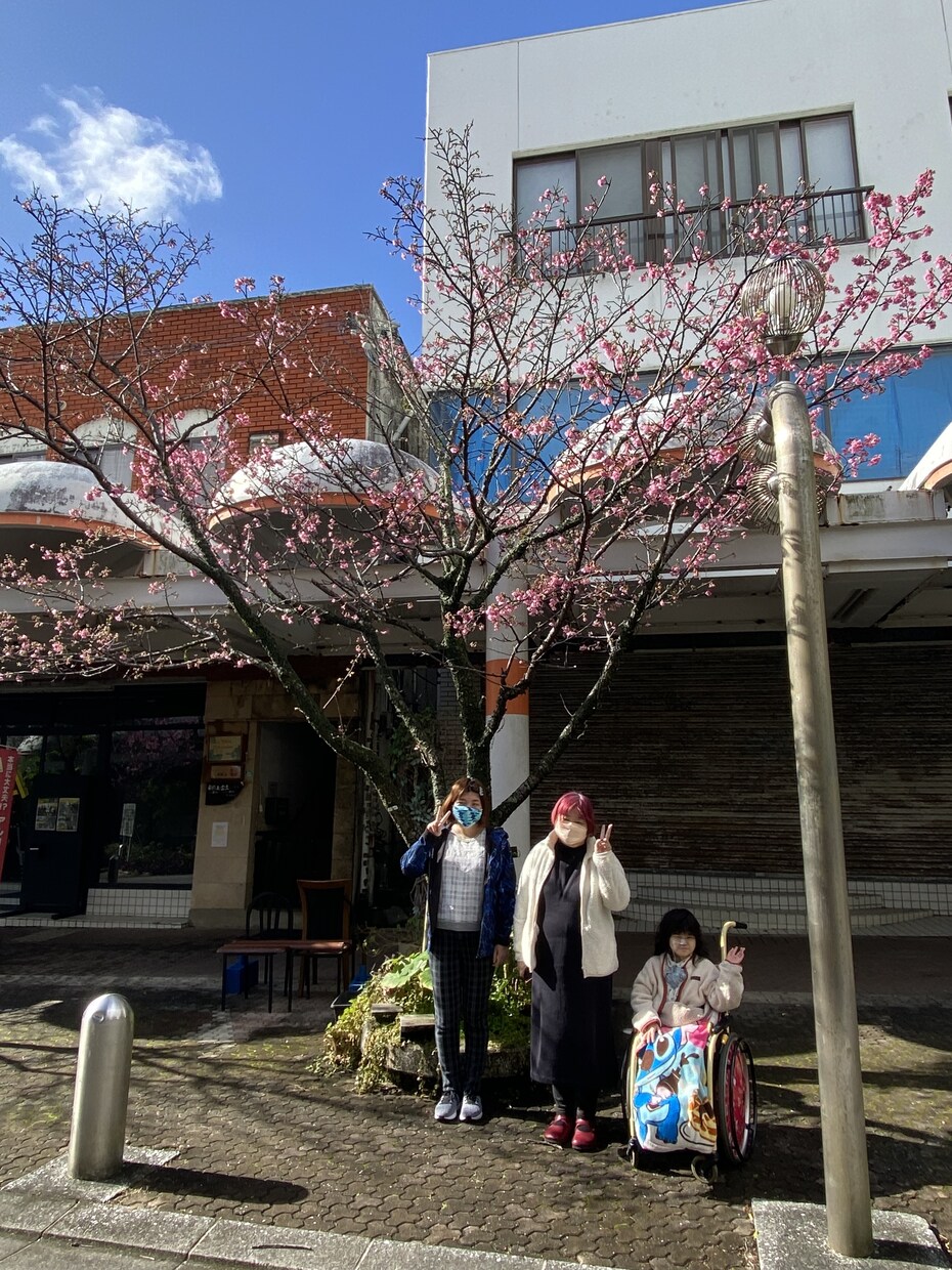 沖縄移住の悩みや疑問にお答えします 沖縄移住苦節35年、島ナイチャーがあなたの疑問を解決 イメージ3