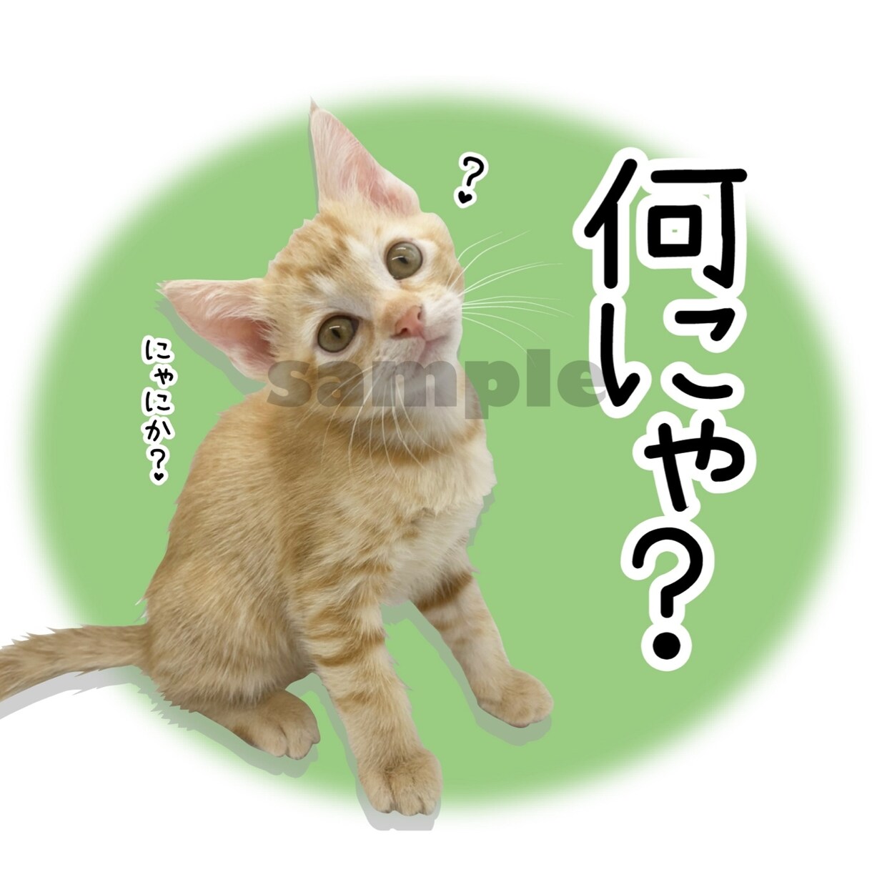 猫や犬、カワイイうちの子LINEスタンプつくります かわいいペットの写真でLINEスタンプをつくりませんか？ イメージ7