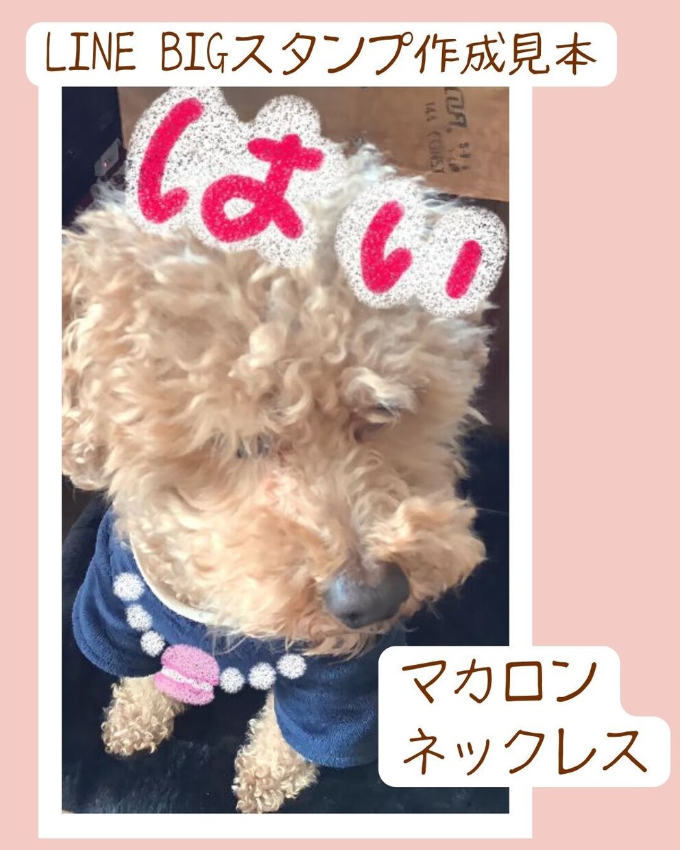ペットのお写真でLINEのBIGスタンプ作成します スイーツのイラスト＆文字を写真に描いたスタンプになります イメージ7