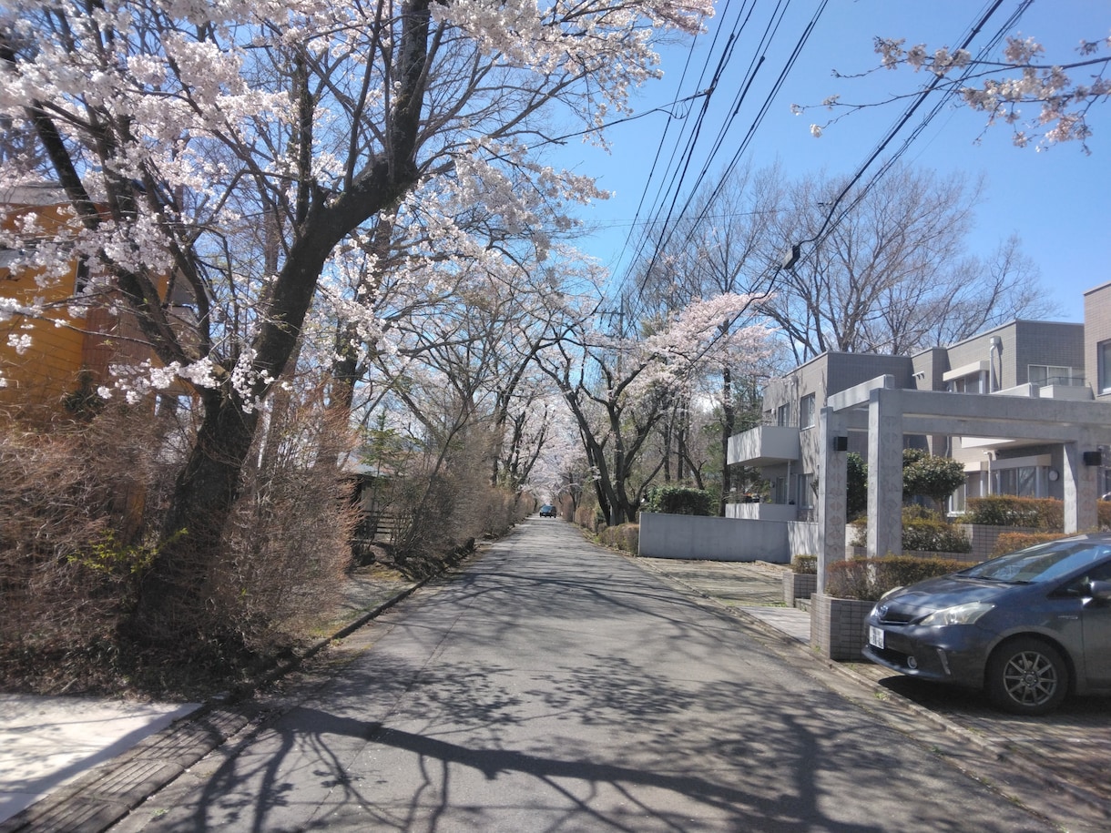 NTT交換手の《声》はダテではない】でございます 【ウグイス嬢の経験】も生きています。し【ジャズ婆】も生きます イメージ6