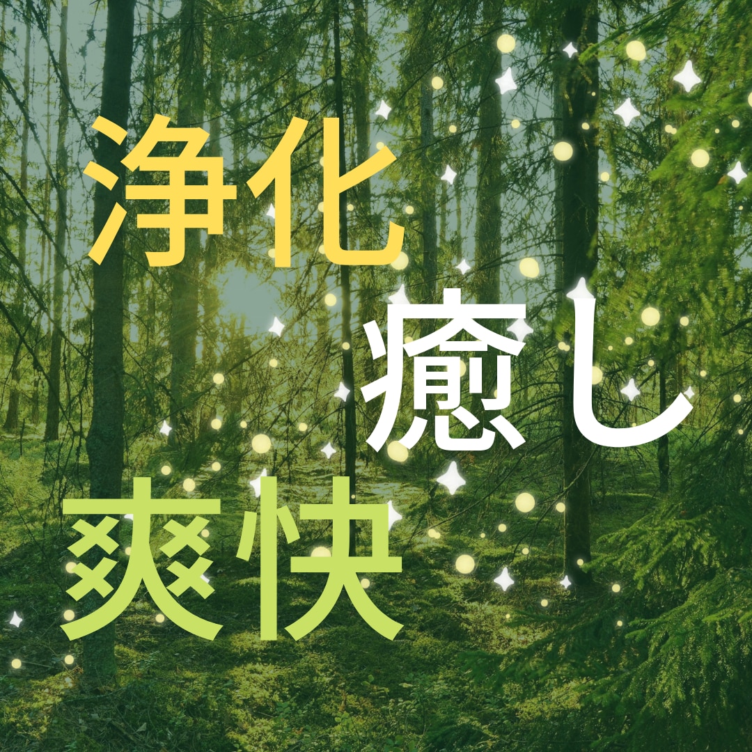 引き寄せ恋愛♡未来ナビゲーターが教えます あ〜災難•不幸(^◇^;)私の話を誰か聞いて‼️ イメージ2