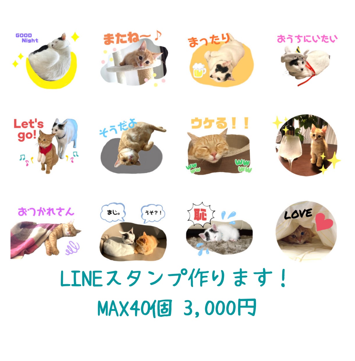 お気に入り写真で万能可愛いLINEスタンプ作ります お子様やペットなど♪あなただけのオリジナルスタンプをGET！ イメージ1