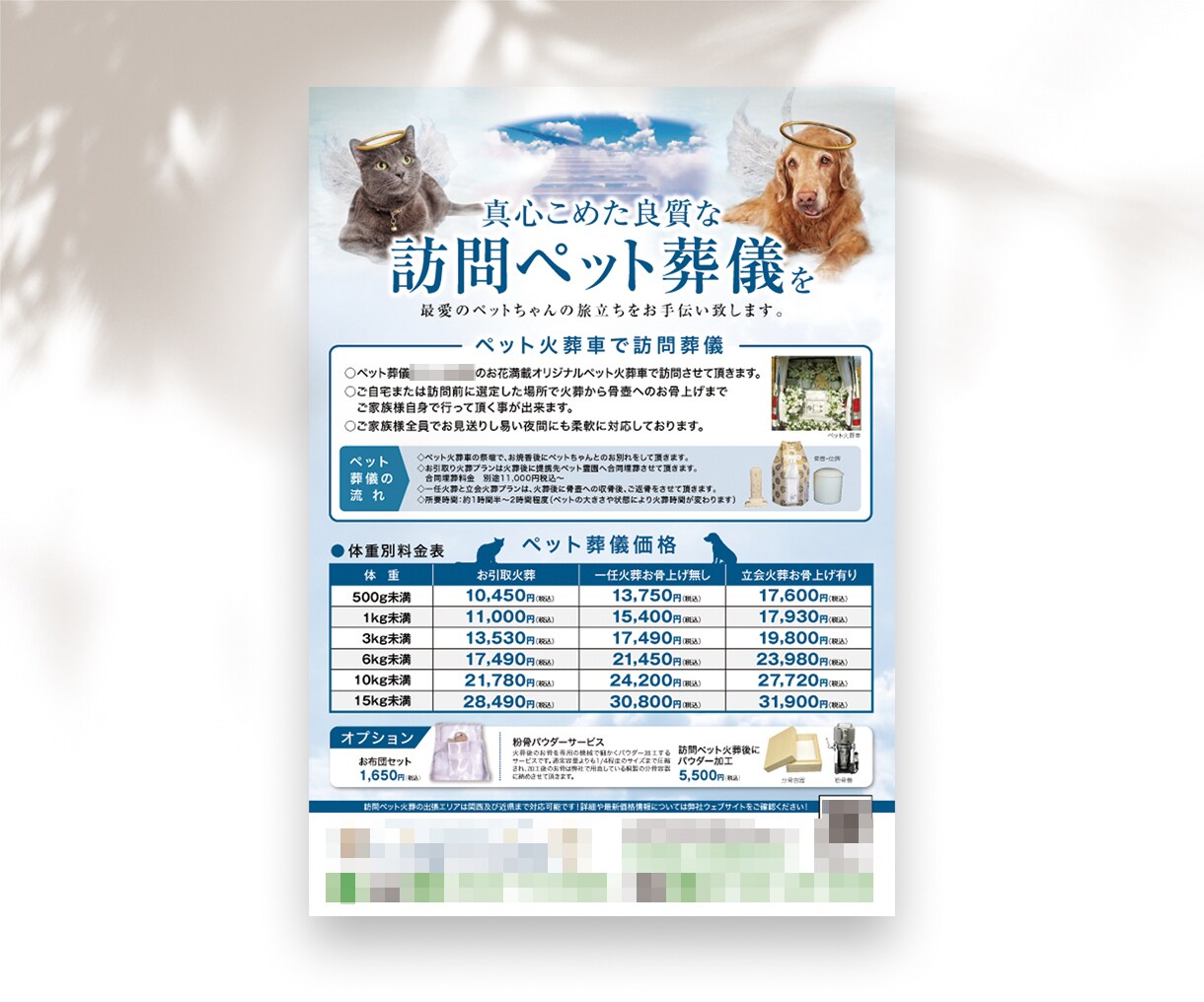 高品質で低価格!修正無制限でチラシ制作します デザイナー歴10年以上のベテランなので安心してお任せください イメージ10