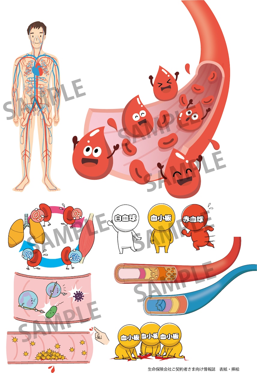 使いやすく分かりやすい！カラダのイラスト作成します 医療・健康系WEB・書籍に！わかりやすく説明をサポートします イメージ1