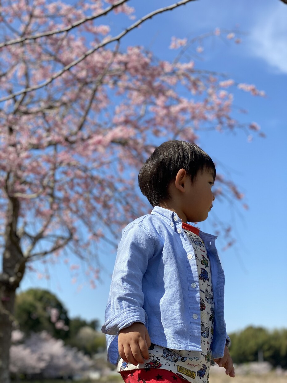 住宅ローン返済難、滞納など、任意売却の相談承ります 住宅ローンの支払を滞納してしまった方、早めの対策が肝心です イメージ1