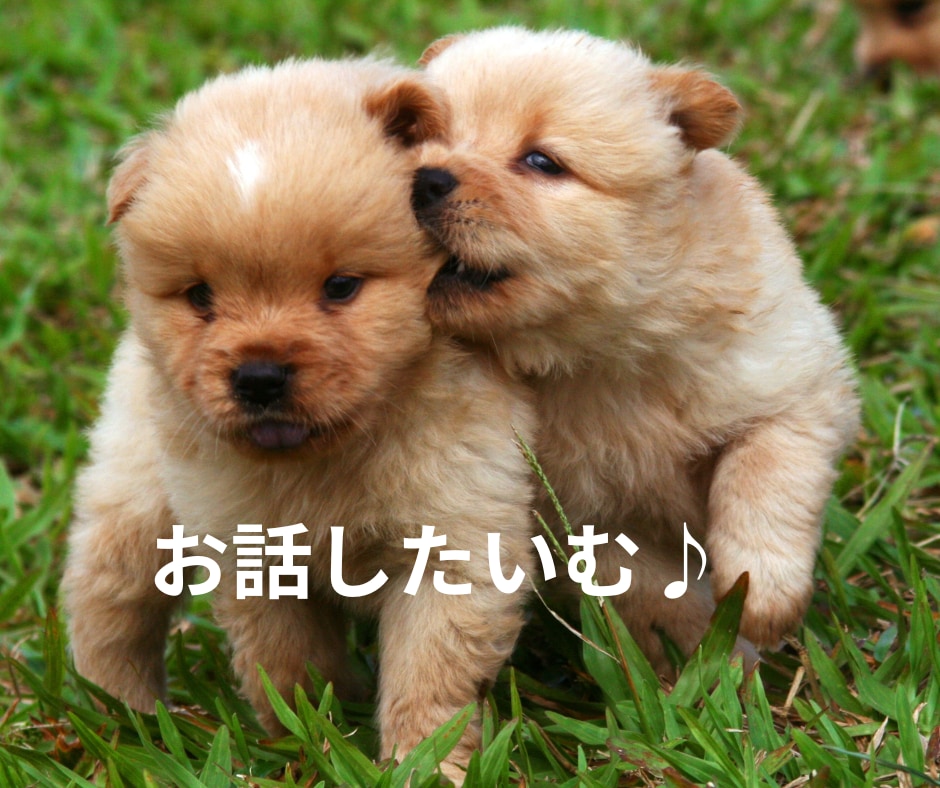 短時間OK！誰かに聞いてほしくなったら待ってます ちょっと悩みを話して、ラクに悩みの渦から抜け出しませんか？ イメージ5