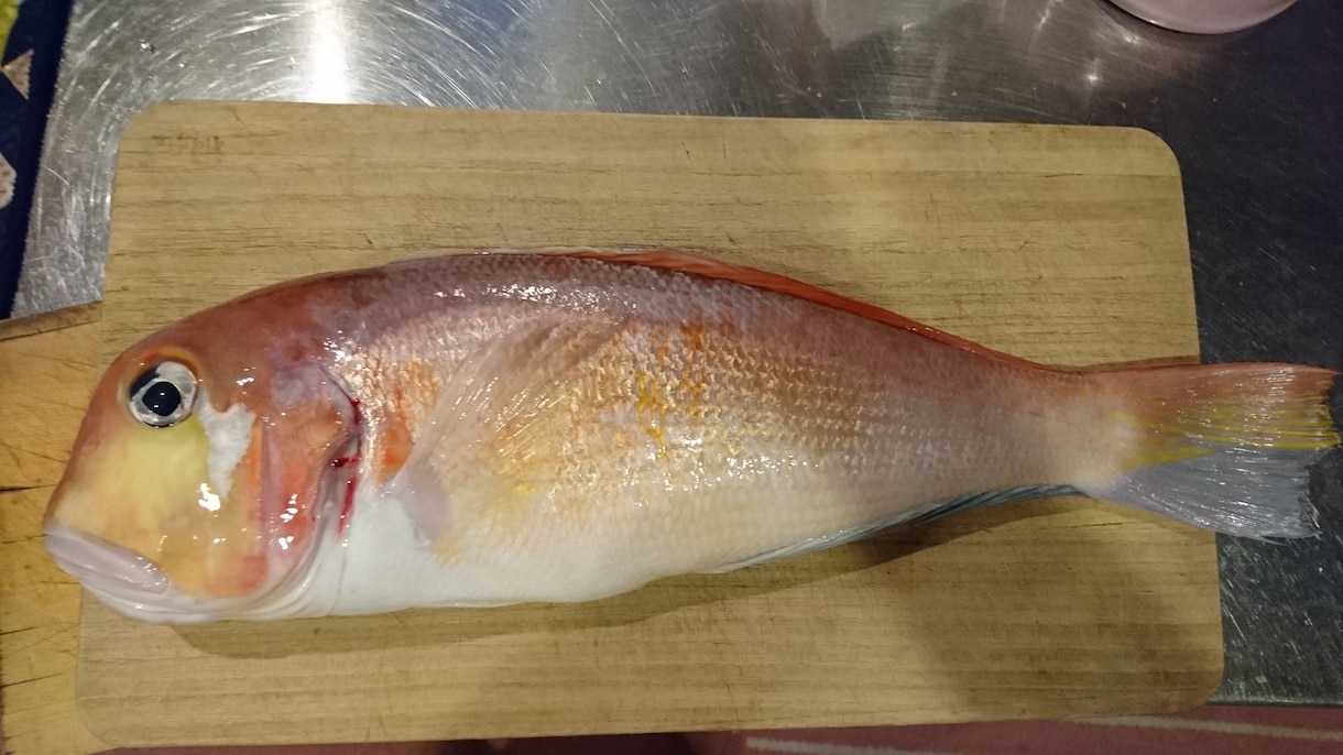 魚釣りを初めてみたいかた相談にのります 魚釣りやゴムボートフィッシング始めたいかた相談のります イメージ1