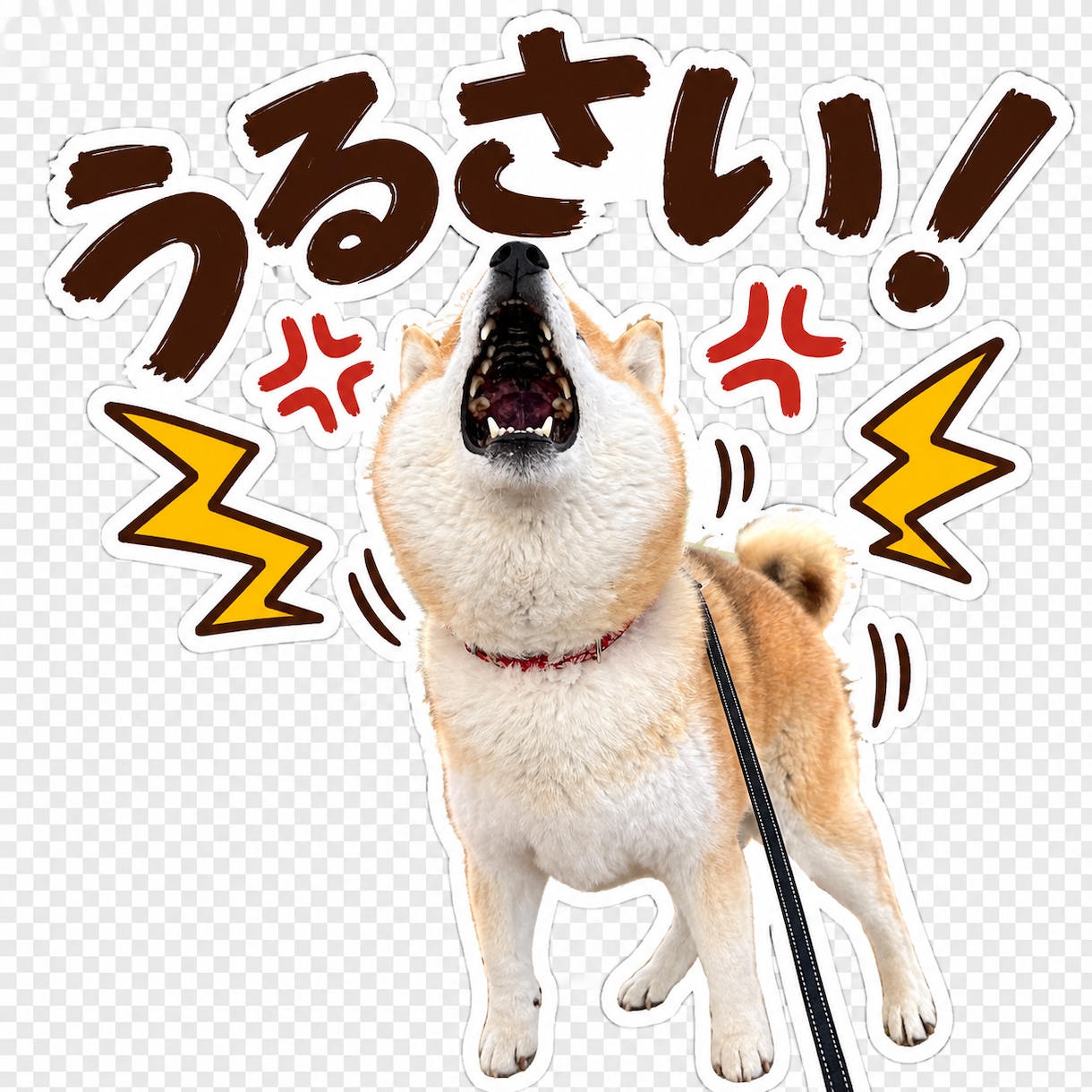 愛犬の写真から可愛いLINEスタンプを作ります 最新AI×丁寧な画像補正で、世界にひとつのスタンプを制作！ イメージ1