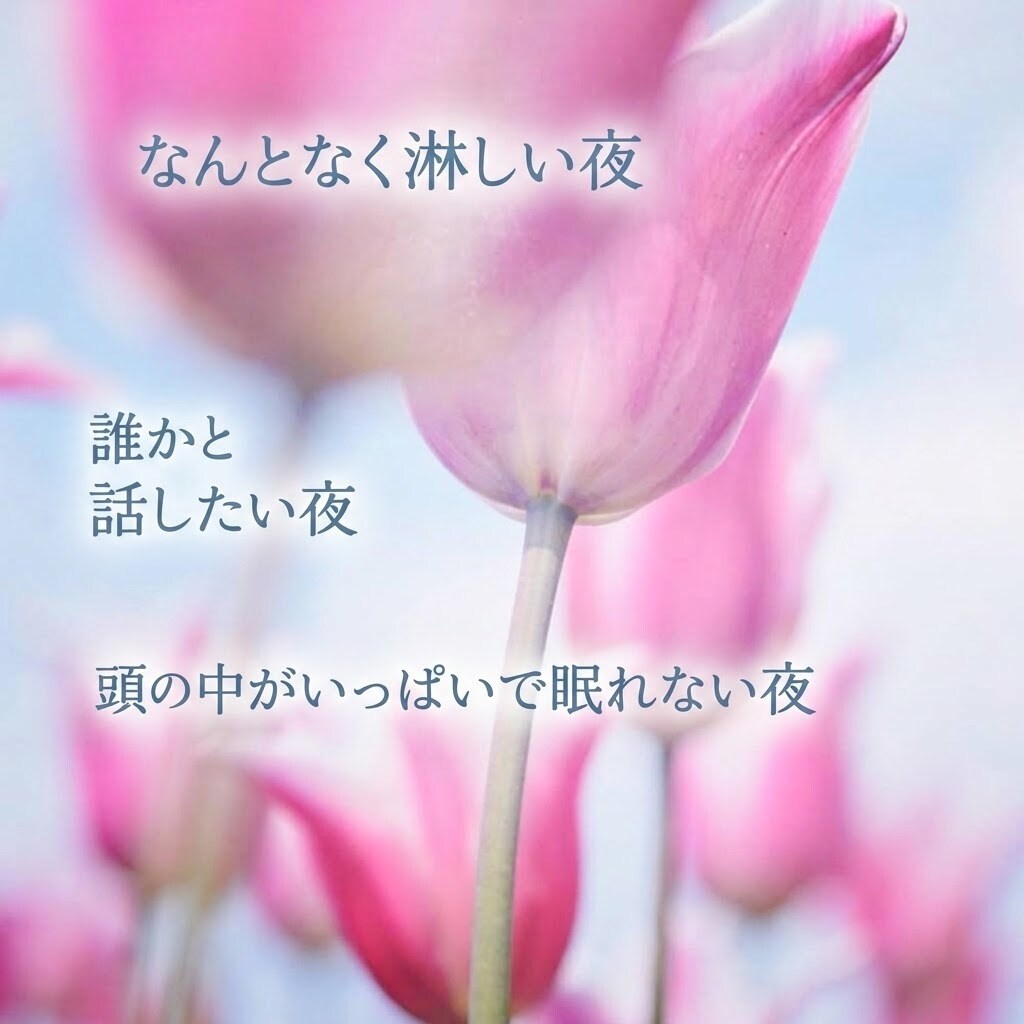 眠れない夜、少しだけお話し相手になります 眠くなるまで、少しお話ししませんか？ イメージ3