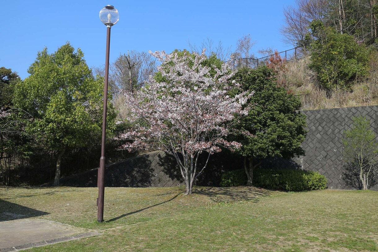 画像を切り出しいたします いざというときに使える写真加工アイテムの切り出し イメージ2