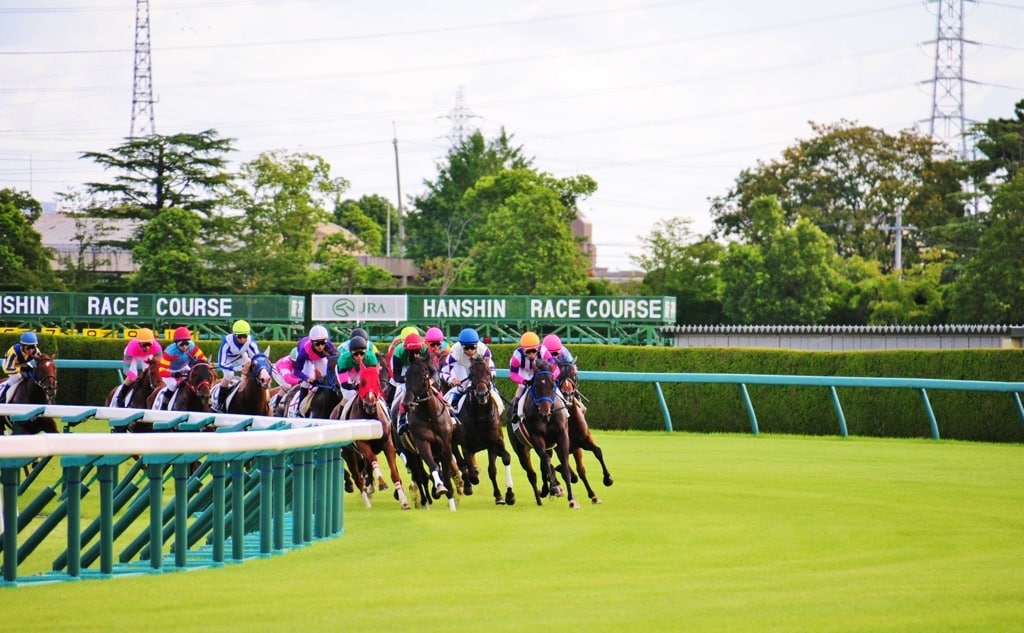 阪神競馬予想☆小頭数で的中目指します 人気に左右されない予想☆12/31までの特別価格！！ イメージ1