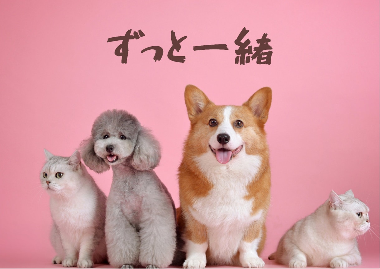 今は会えないあの人に向けて。思念伝達で口寄せします 伝えられなかったこと、今だから言えること。一緒に伝えませんか イメージ3