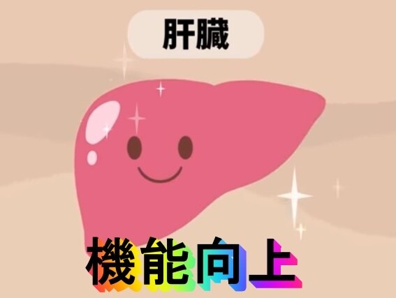 肝臓をケアする最強の食べ物をお教えします なぜ食べない？毎日食べまくれ！肝臓をいたわる食べ物はコレだ！ イメージ1