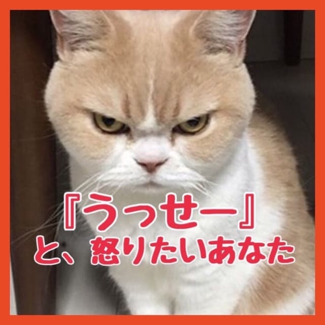 イライラしてる、怒りたいあなたのお話を聞きます 怒りたい、怒鳴りたい、悪口を言いたい等の怒りをぶつけてね！ イメージ1