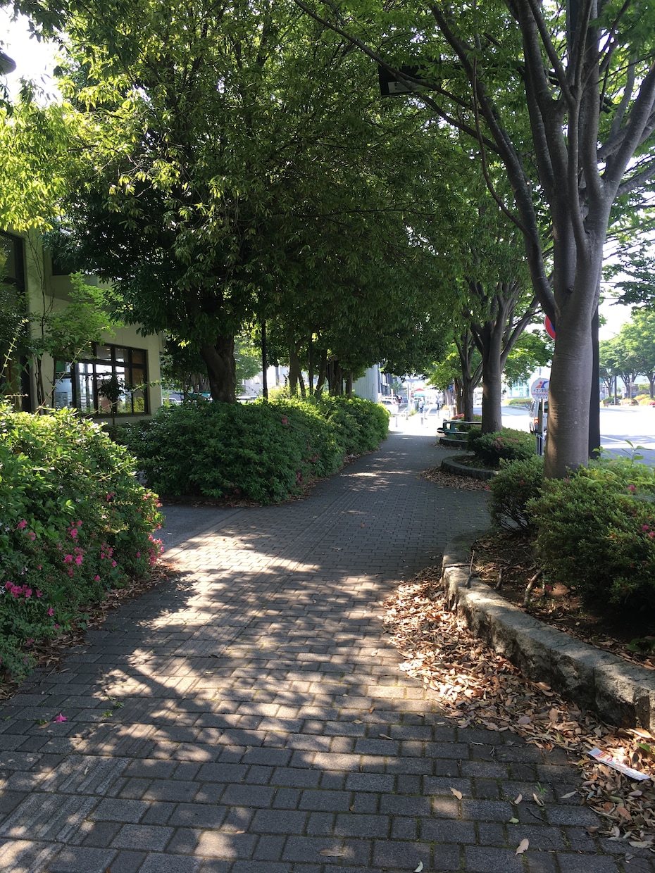 あなたの話をとことん聴きます 心のモヤモヤは吐き出すと軽くなりますよ（秘密厳守致します） イメージ2