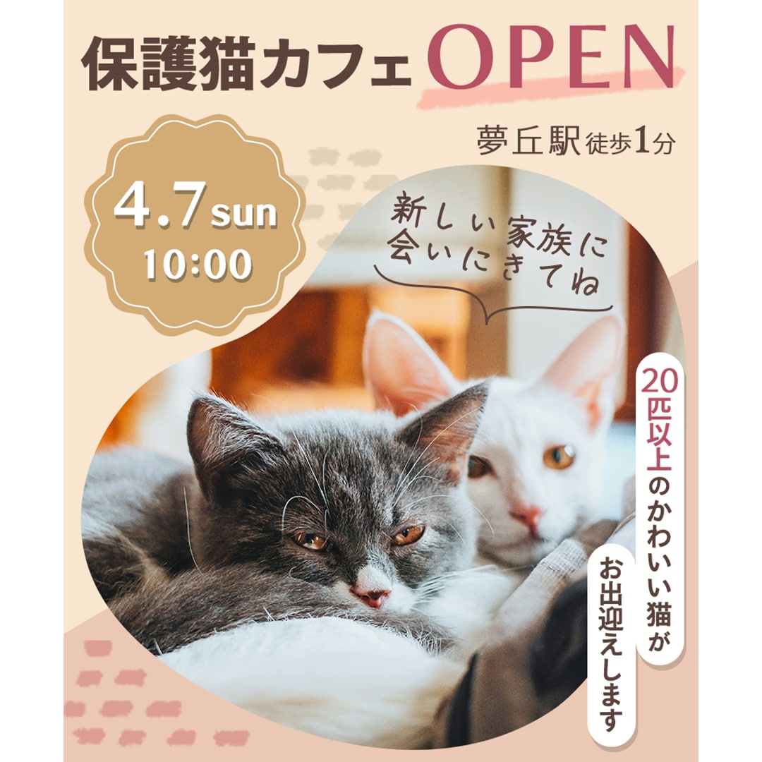 あなたの想いを形に！伝わるWEB画像をつくります 手軽に、安心して頼めるWEB画像制作サービス イメージ5