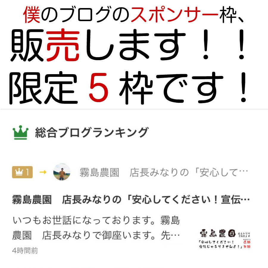 公式1位の人気ブログで広告をドドーンと掲載します 各SNSへ連結済！毎日投稿していて多くの読者の目に止まります イメージ1