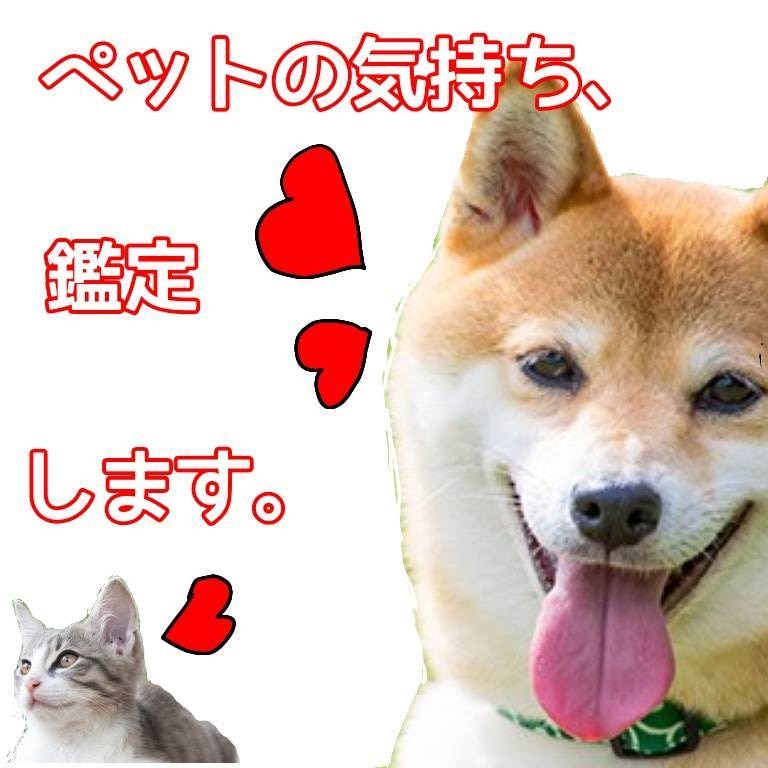 愛するペットから伝えたいことを占い鑑定します いつも見守ってくれる貴方様にむけて イメージ1