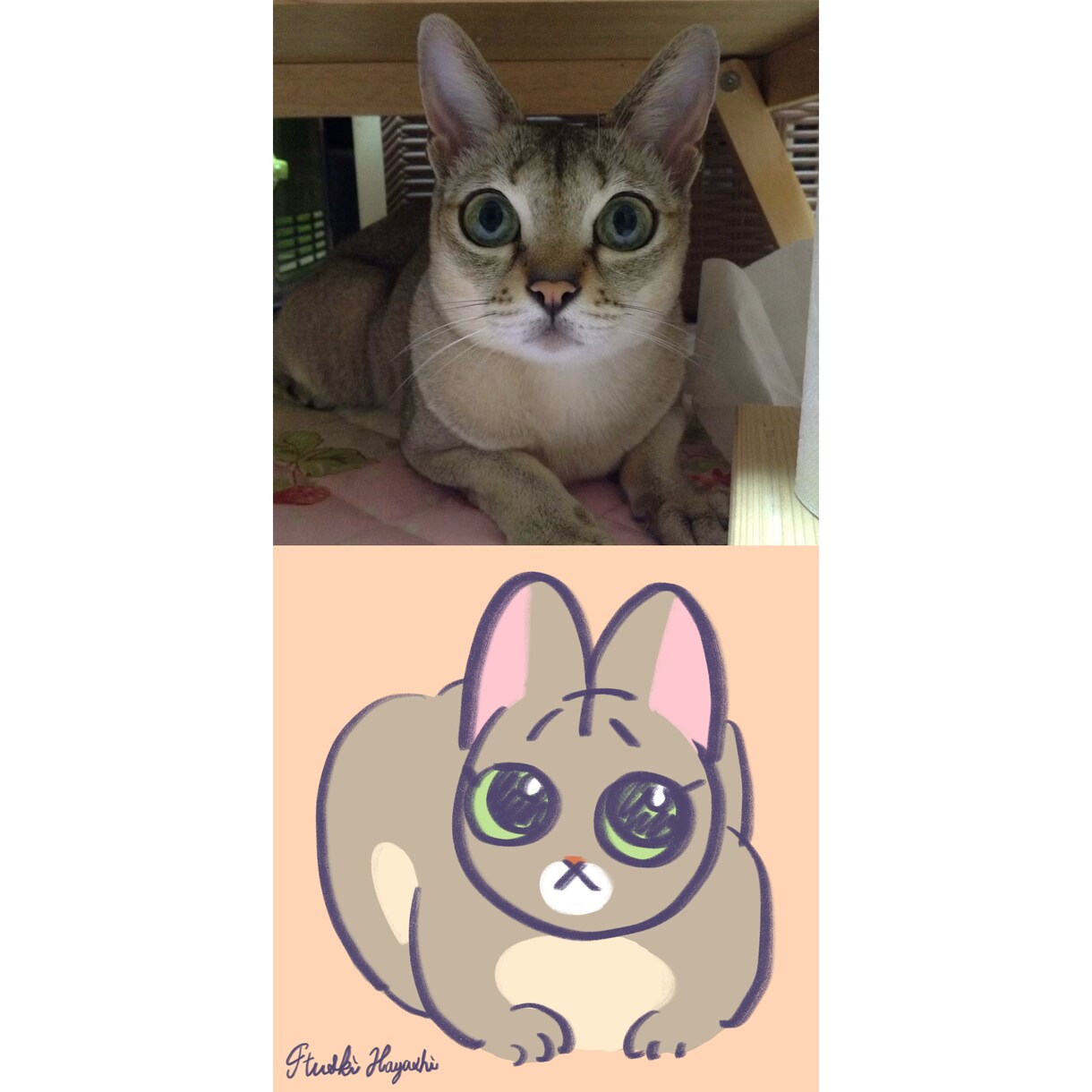 猫ちゃんのイラスト描きます SNSのアイコンやうちの子のイラストが欲しい方向け イメージ2