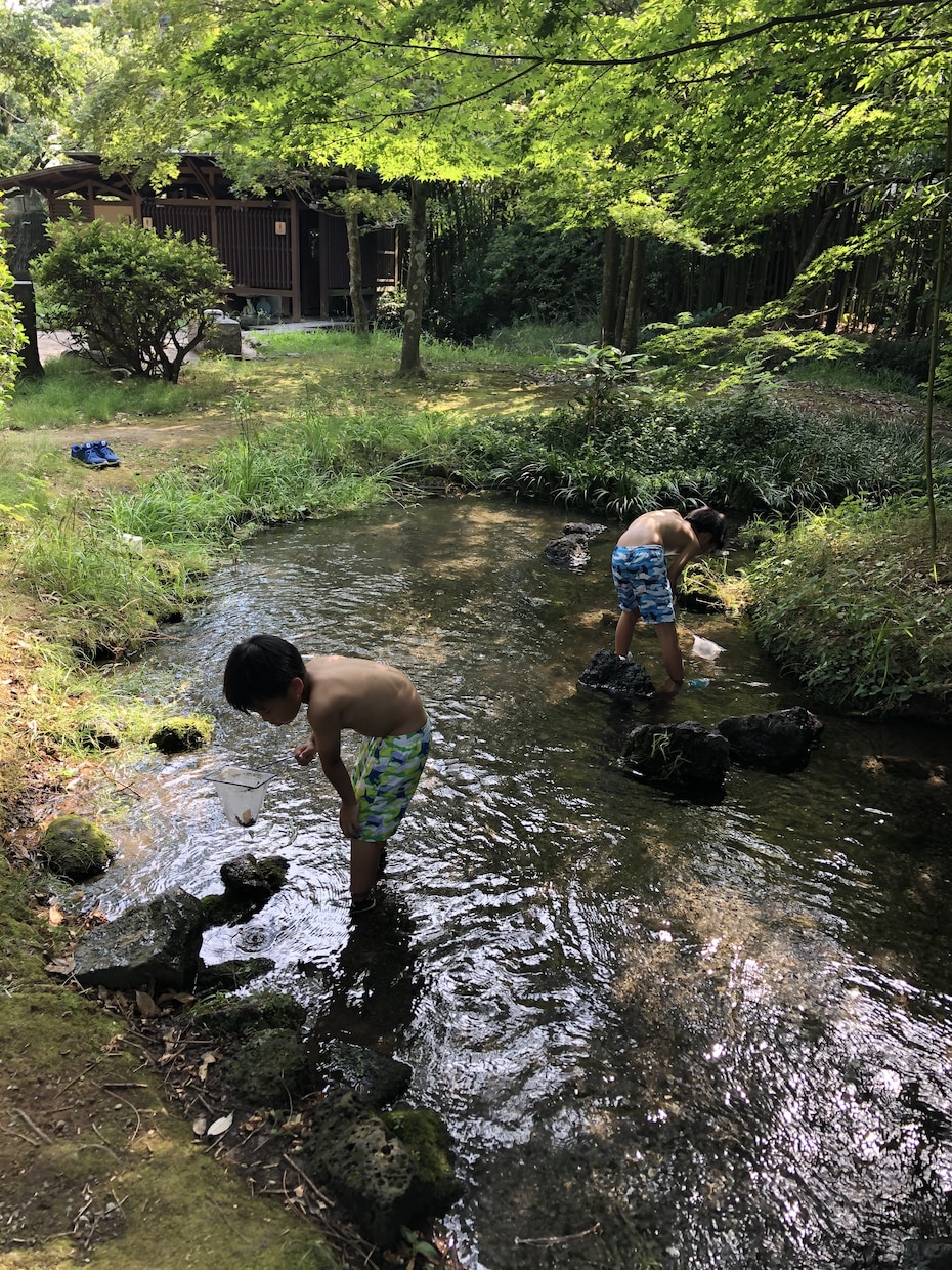 子連れおでかけプランを提案します (子どもが喜ぶお出かけプランをご提案いたします) イメージ1