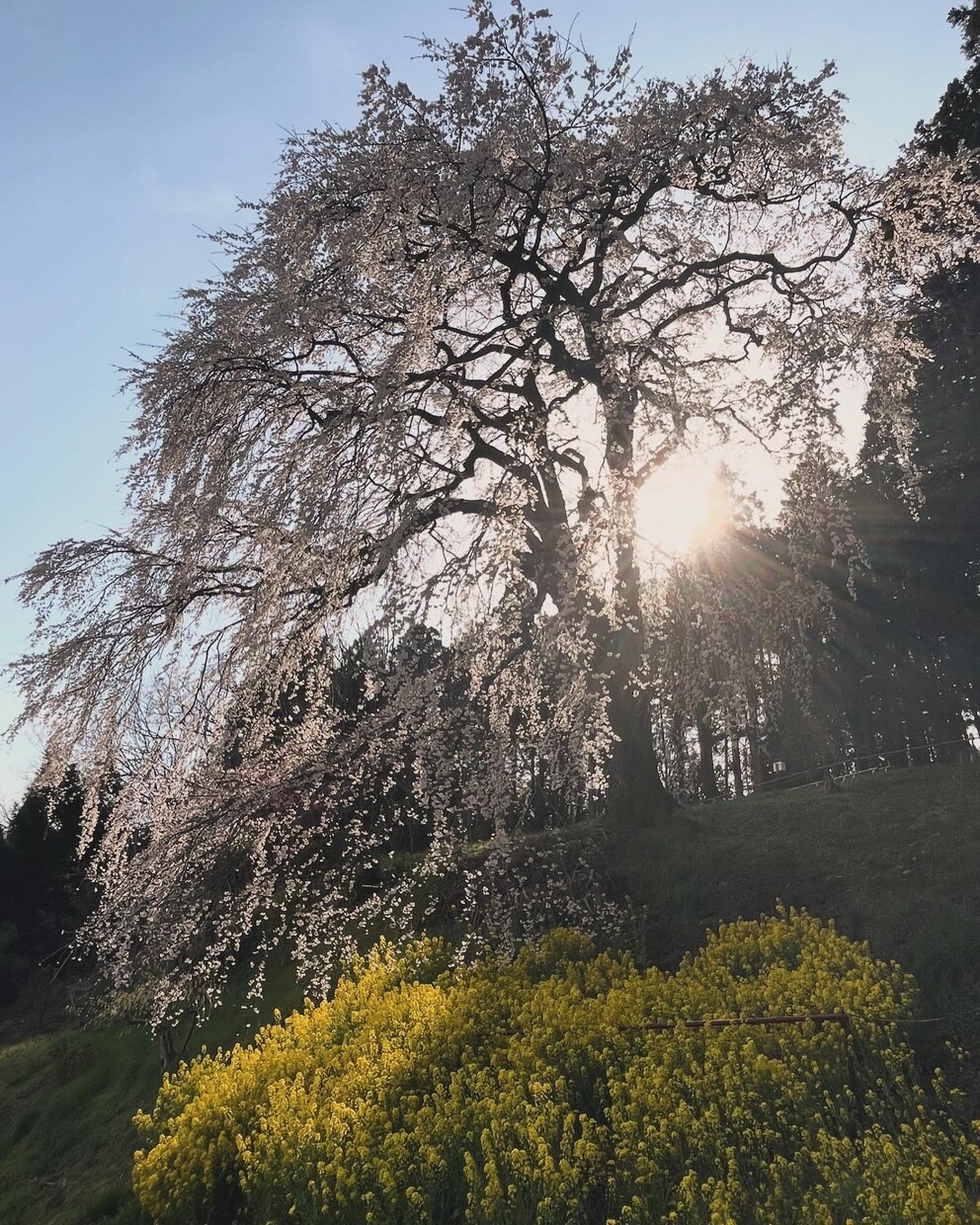 生活の中で撮れる自然な写真を提供ます 初心者ならではの自然な視点での写真です イメージ6